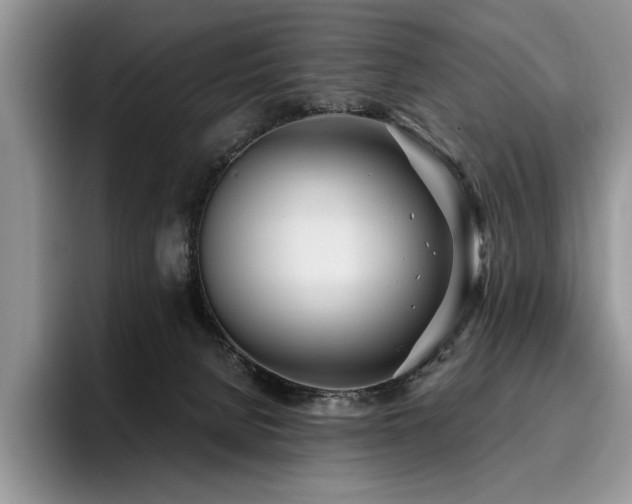 X0000096140080200801181141