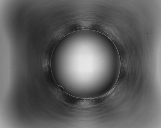 X0000096140082200801181141