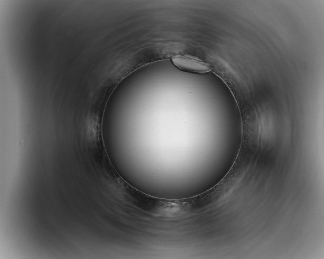 X0000096140083200801181141