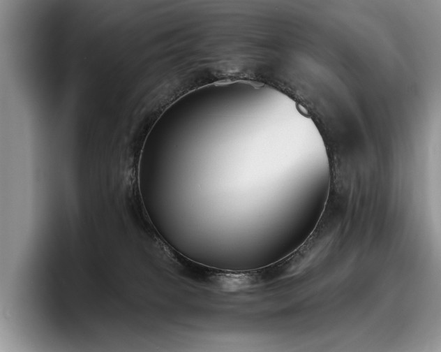 X0000096140085200801181141