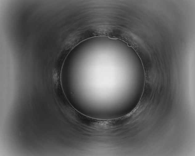 X0000096140086200801181141