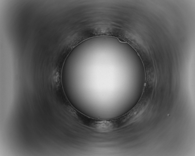 X0000096140087200801181141
