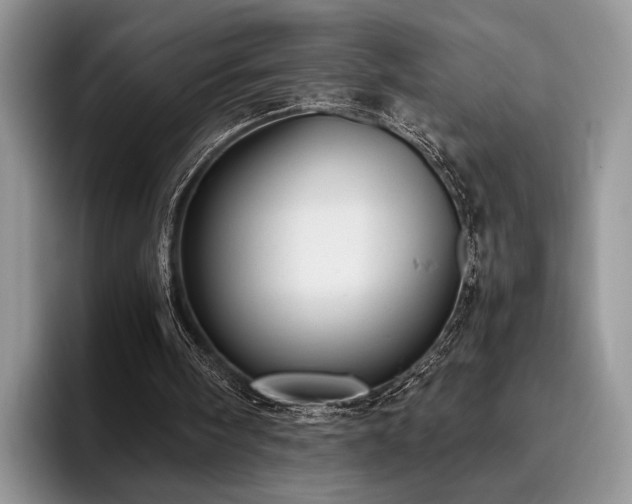 X0000096140098200801181141