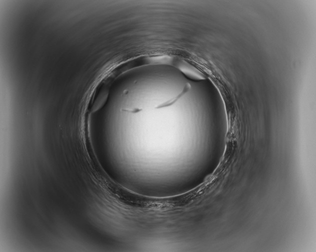 X0000096140099200801181141