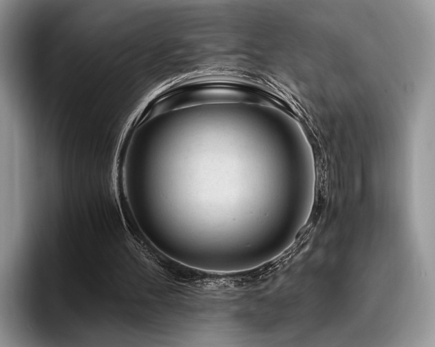 X0000096140100200801181141