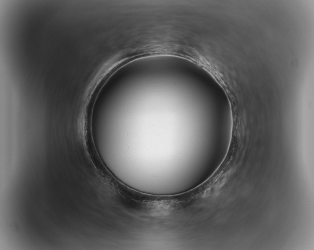 X0000096140103200801181141