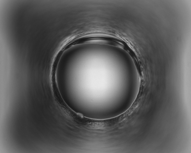 X0000096140104200801181141