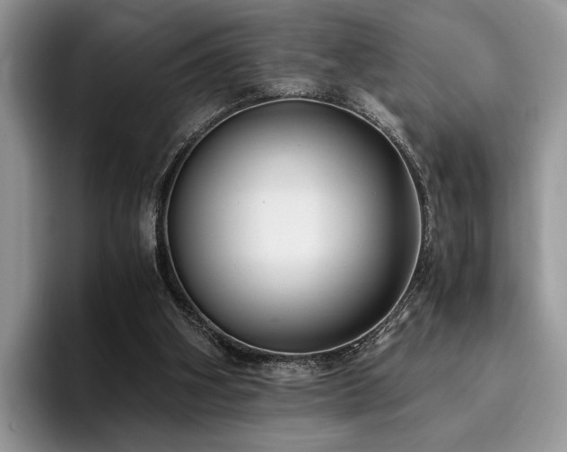 X0000096140106200801181141