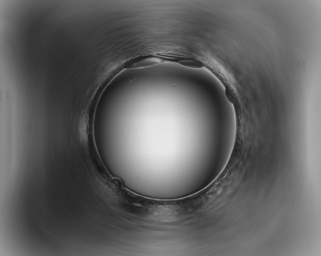 X0000096140107200801181141