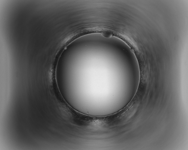 X0000096140111200801181141
