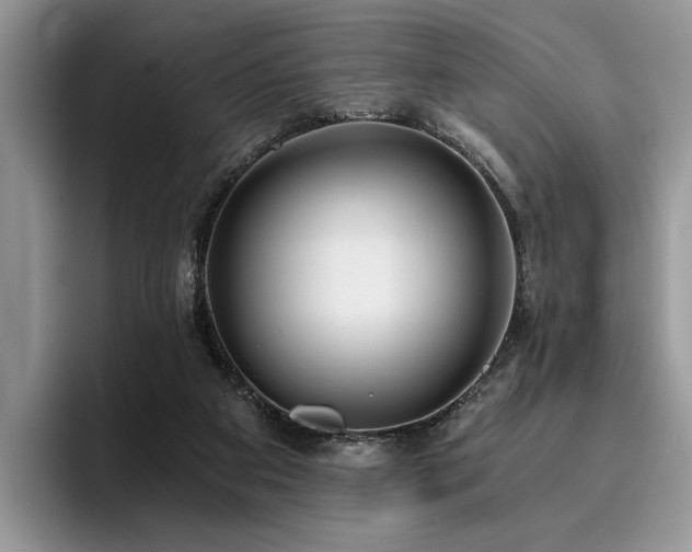 X0000096140113200801181140