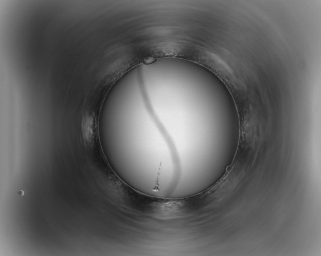 X0000096140122200801181140