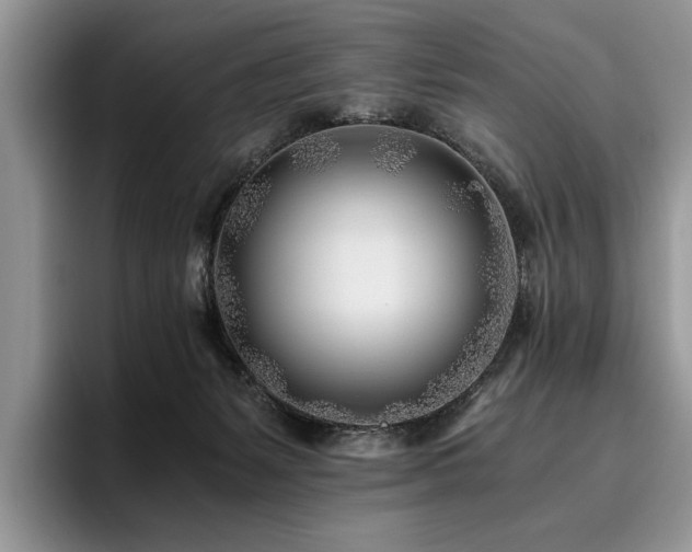 X0000096140127200801181140