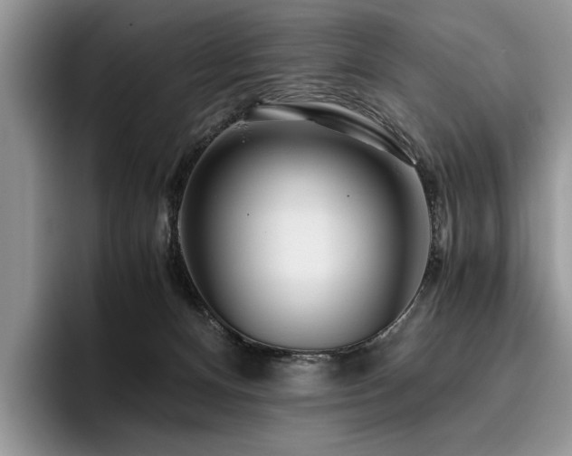 X0000096140128200801181140