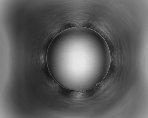 X0000096140131200801181140