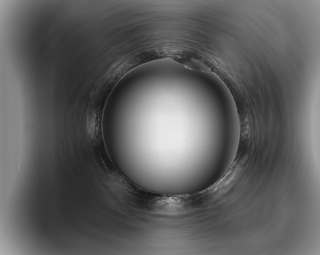 X0000096140140200801181140