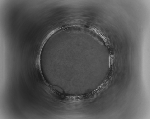 X0000096140147200801181139