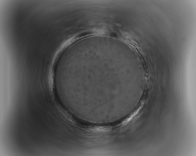 X0000096140149200801181140