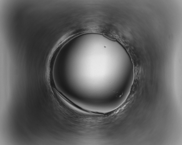 X0000096140150200801181140