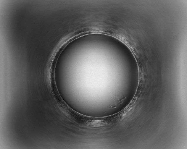 X0000096140151200801181140