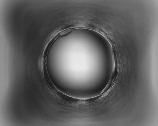 X0000096140152200801181140