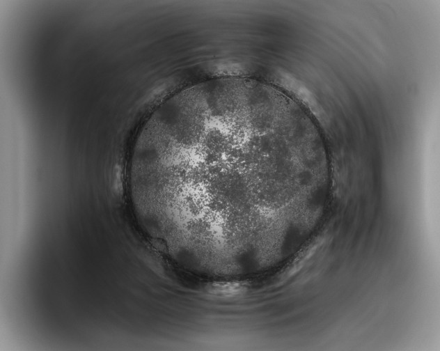 X0000096140161200801181140