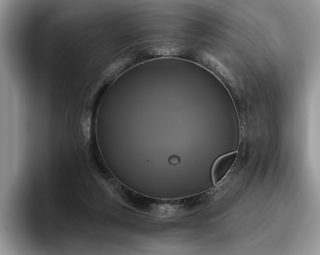 X0000096140163200801181140