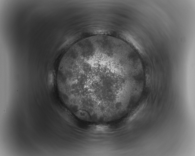 X0000096140165200801181140