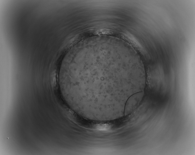X0000096140169200801181140