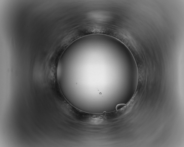 X0000096140175200801181140