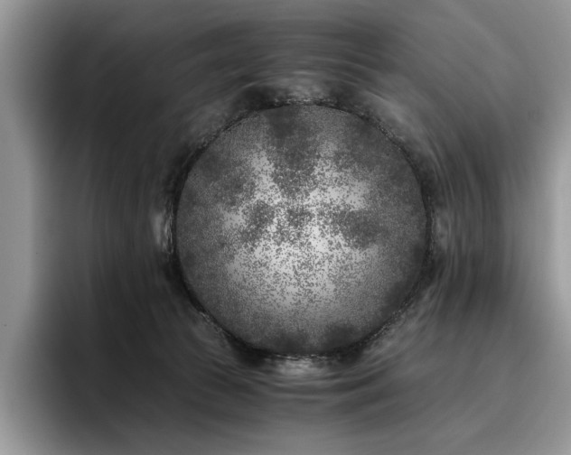 X0000096140177200801181140