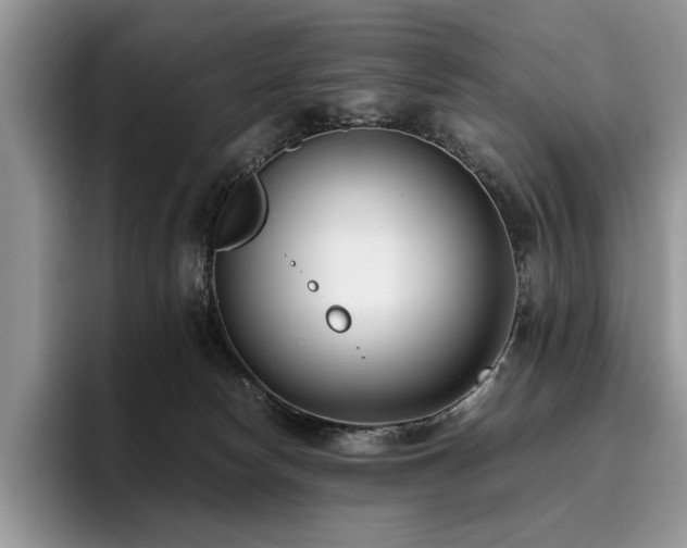 X0000096140178200801181140