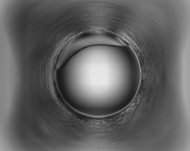 X0000096140193200801181139