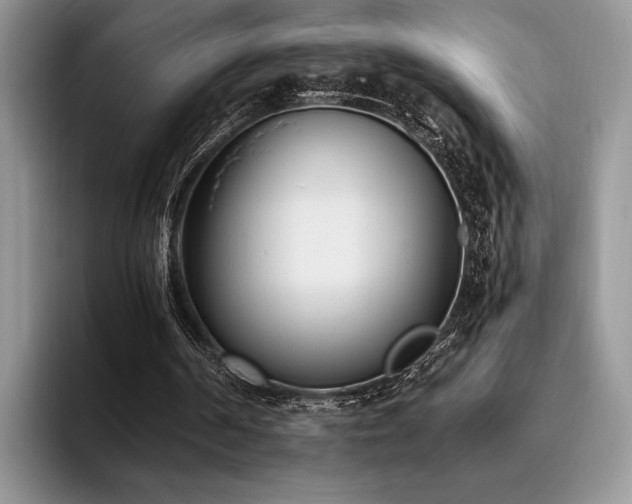 X0000096140194200801181139