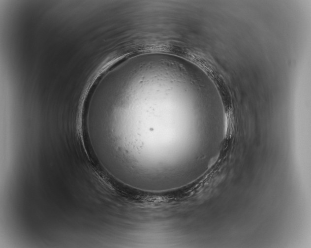 X0000096140195200801181139