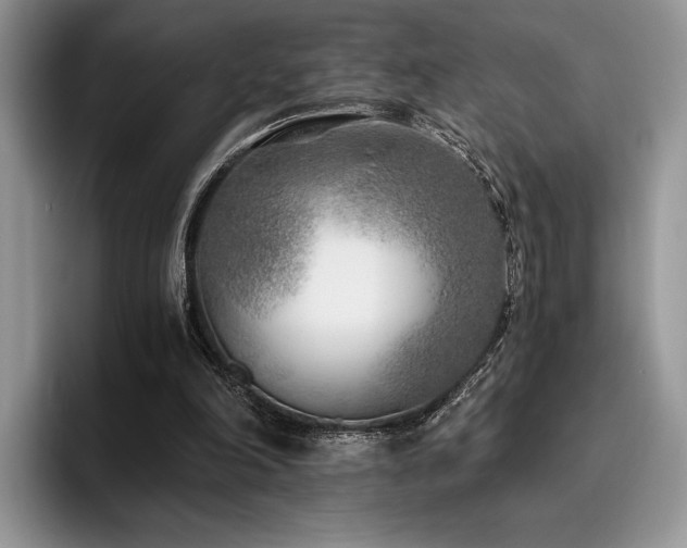 X0000096140198200801181139