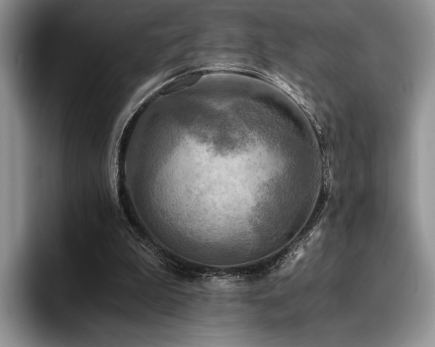 X0000096140199200801181139
