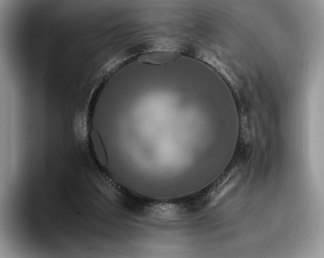 X0000096140203200801181139
