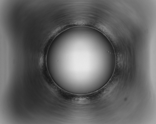 X0000096140208200801181139