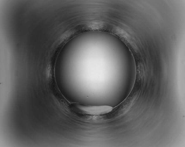X0000096140212200801181139