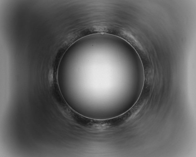 X0000096140213200801181139