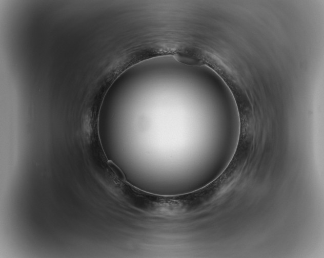 X0000096140215200801181139
