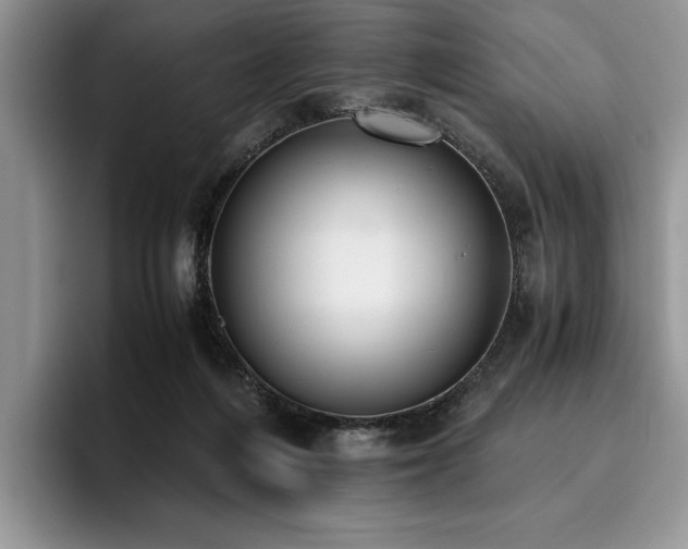 X0000096140216200801181139