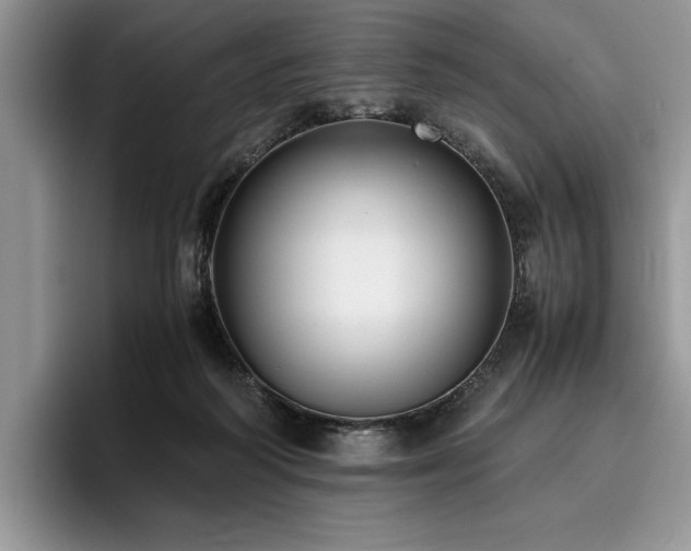 X0000096140218200801181139
