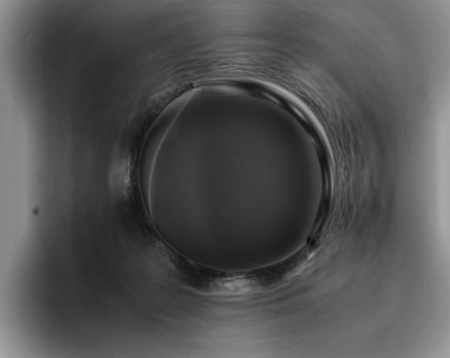 X0000096140219200801181139