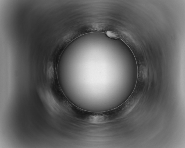 X0000096140220200801181139