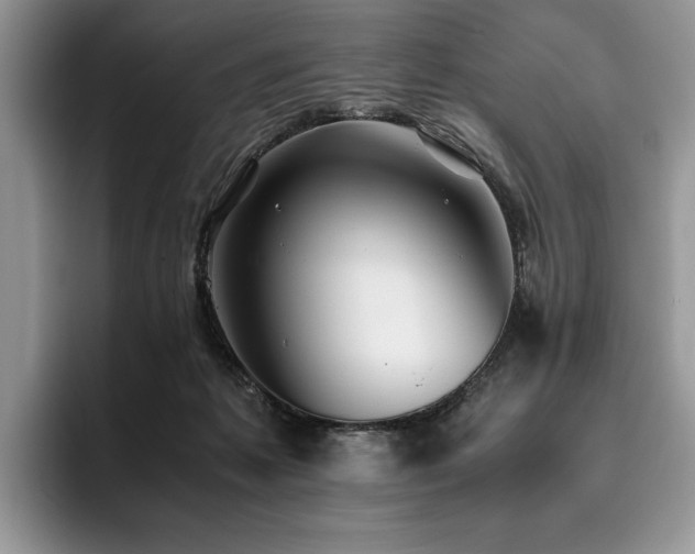 X0000096140221200801181139