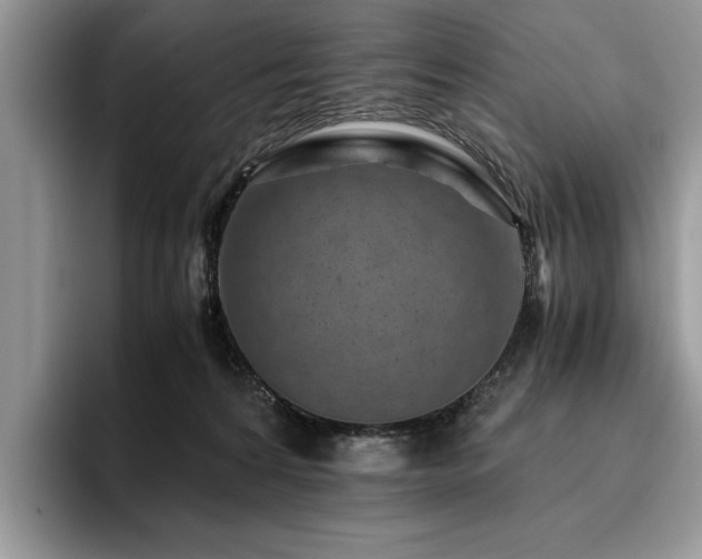 X0000096140224200801181139