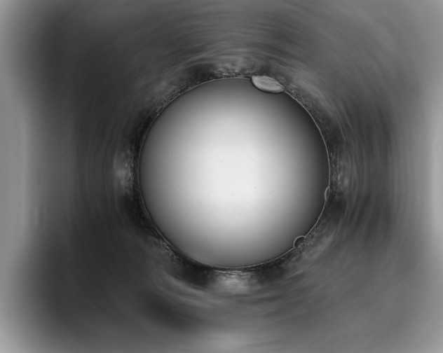 X0000096140226200801181139