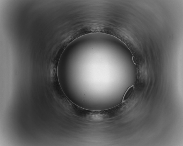 X0000096140228200801181139